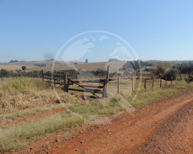 Lote 1 - sp - taquarituba | fazenda - 13,06 ha