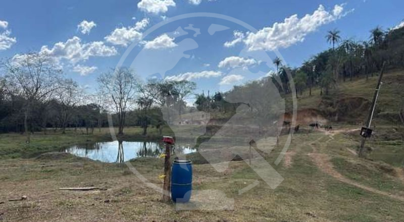 Lote 1 - sp - são josé da bela vista - grama | sítio - cachoeirinha - 52 ha
