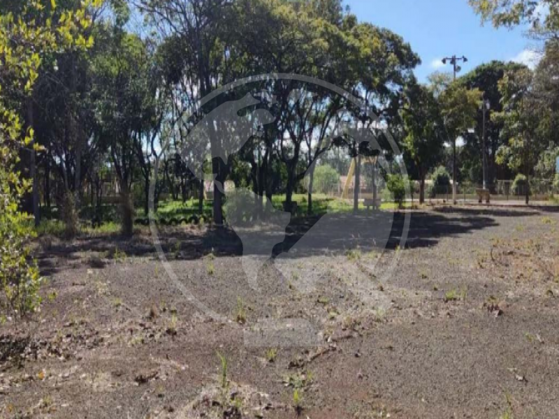 Terreno no Vila Herminia (foto 8 de 10)