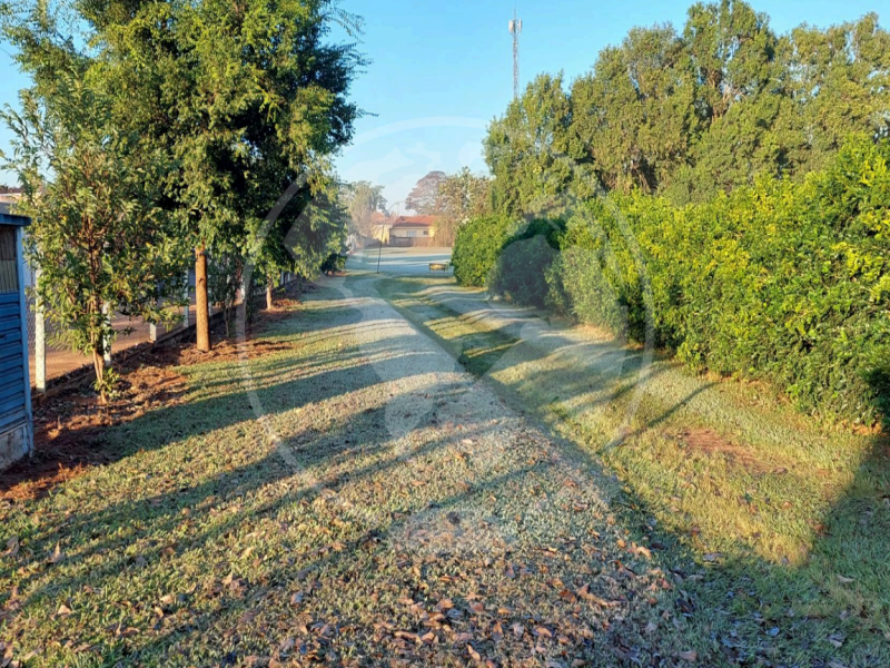 Terreno (foto 4 de 16)