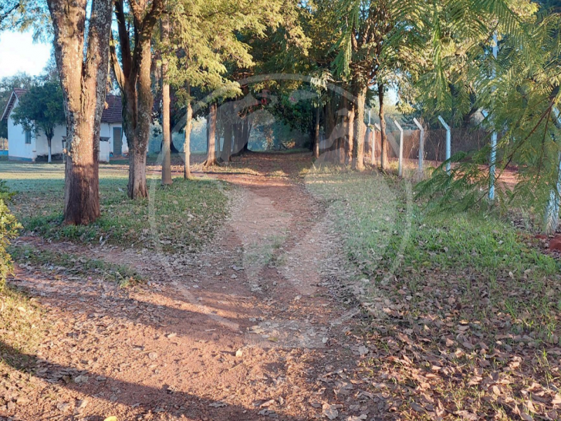 Terreno (foto 5 de 16)