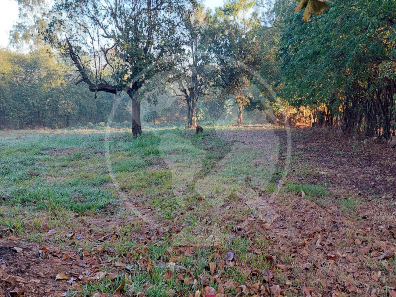 Terreno (foto 8 de 16)