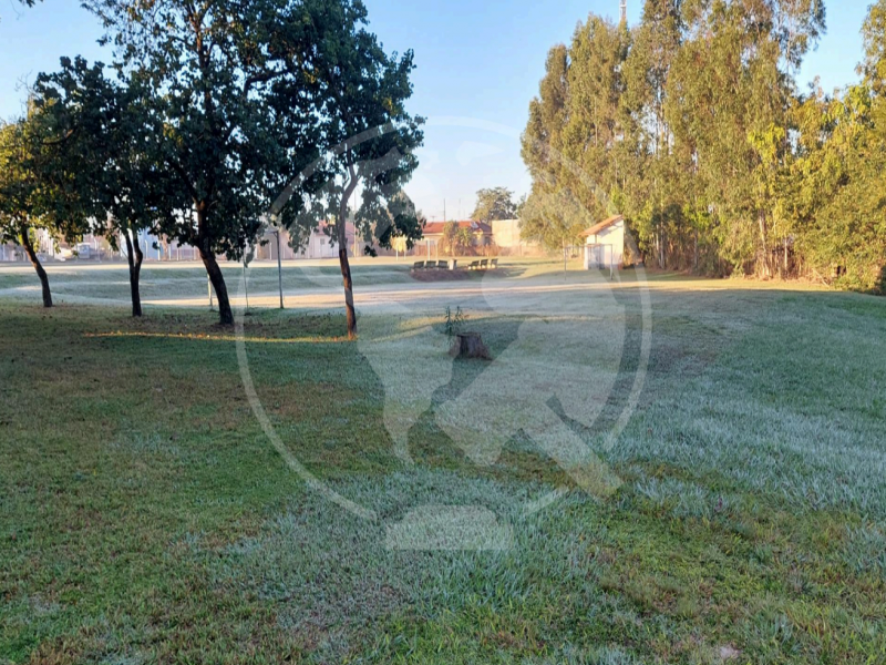 Terreno (foto 12 de 16)