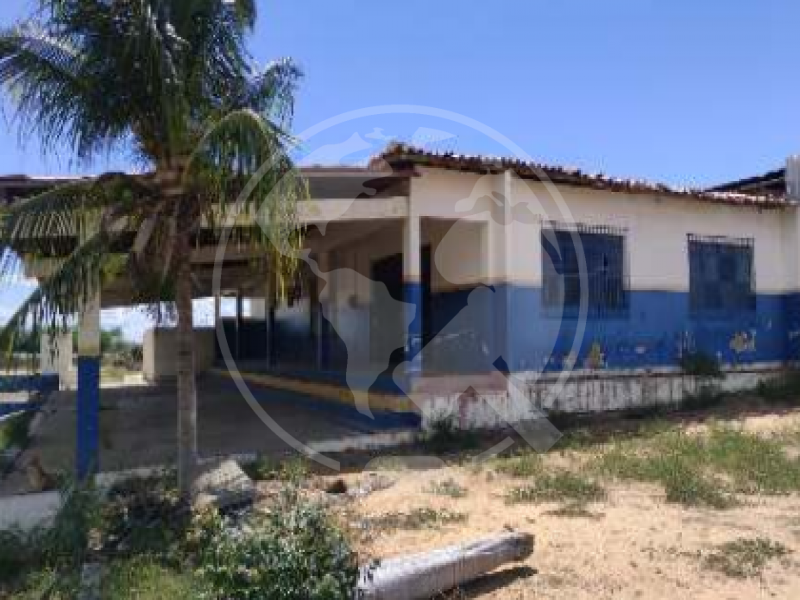Terreno (foto 6 de 13)