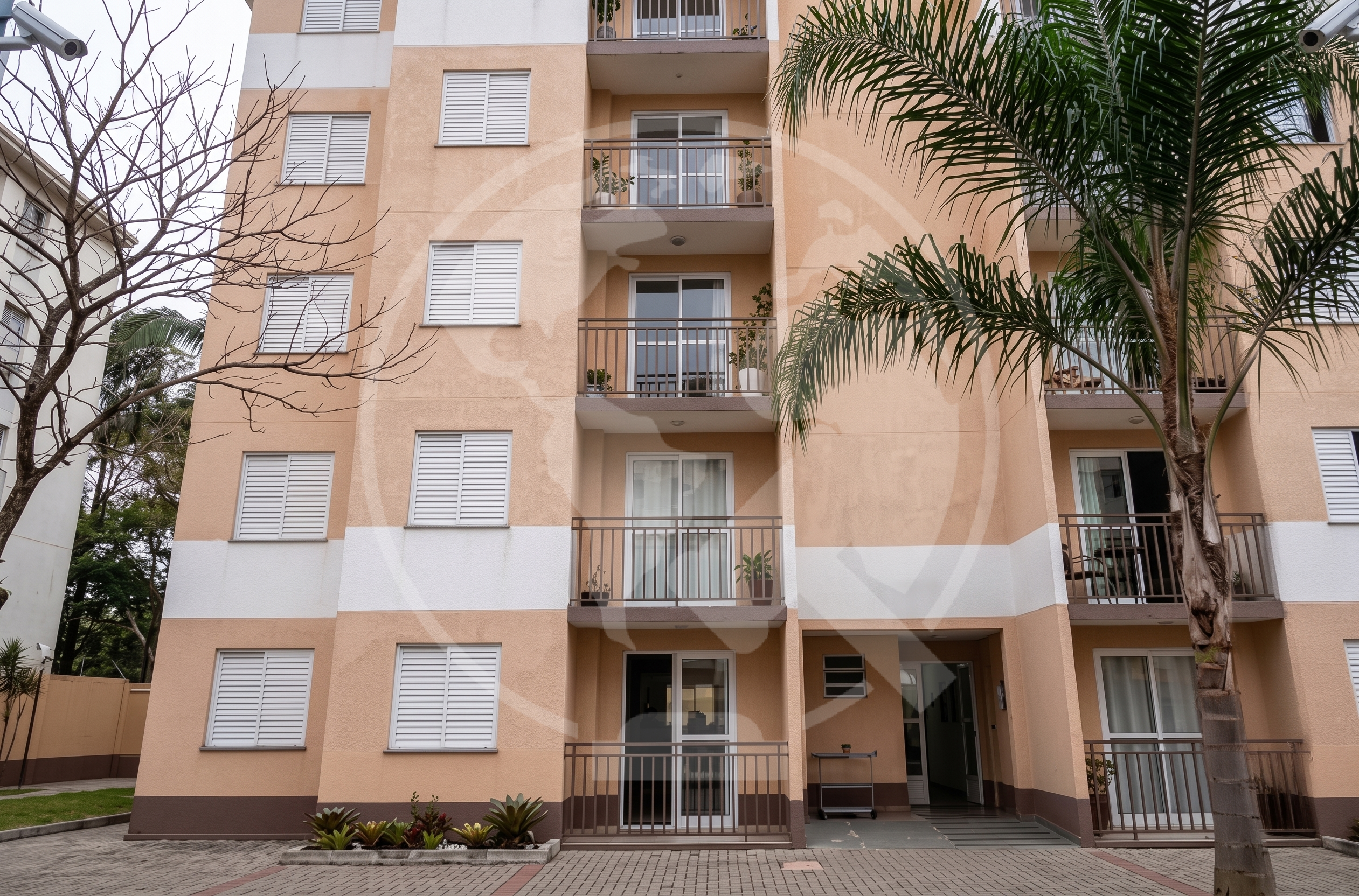 Lote 566 - sp - são paulo - vila jaraguá | apartamento - 58,4m²
