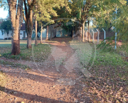 Imagem 5