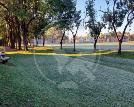 Imagem 13
