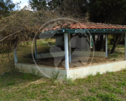 Captura de tela 2023-12-15 152803.png