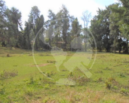 Captura de tela 2023-12-15 152830.png
