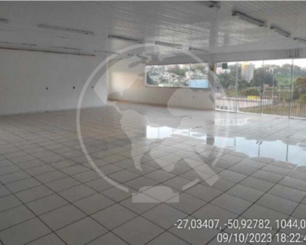 Captura de tela 2023-12-18 135349.png