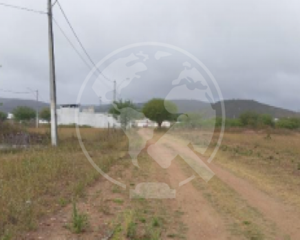 Captura de tela 2026-09-09 100751.png