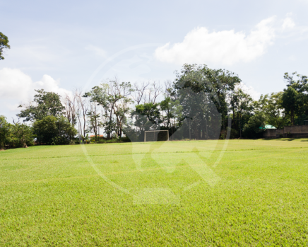 DJI_0058.png