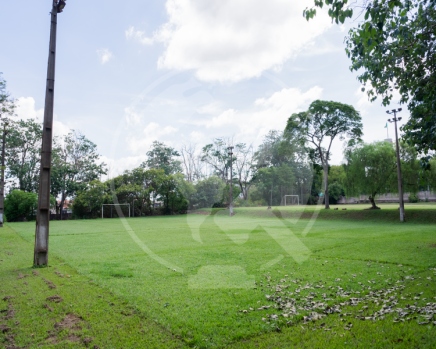 DSC01745.png