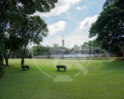 DSC01748.png