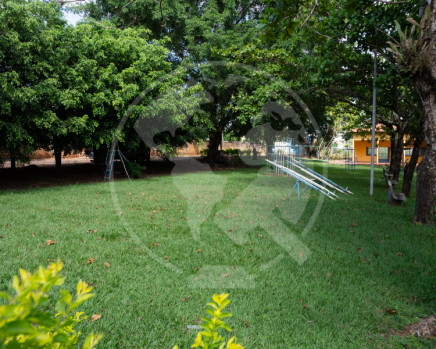 DSC01756.png