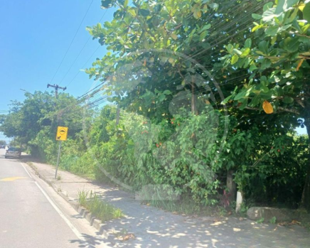 leilao-de-imoveis-sao-paulo-bertioga-parque-estoril-terreno-lote (3).jpg