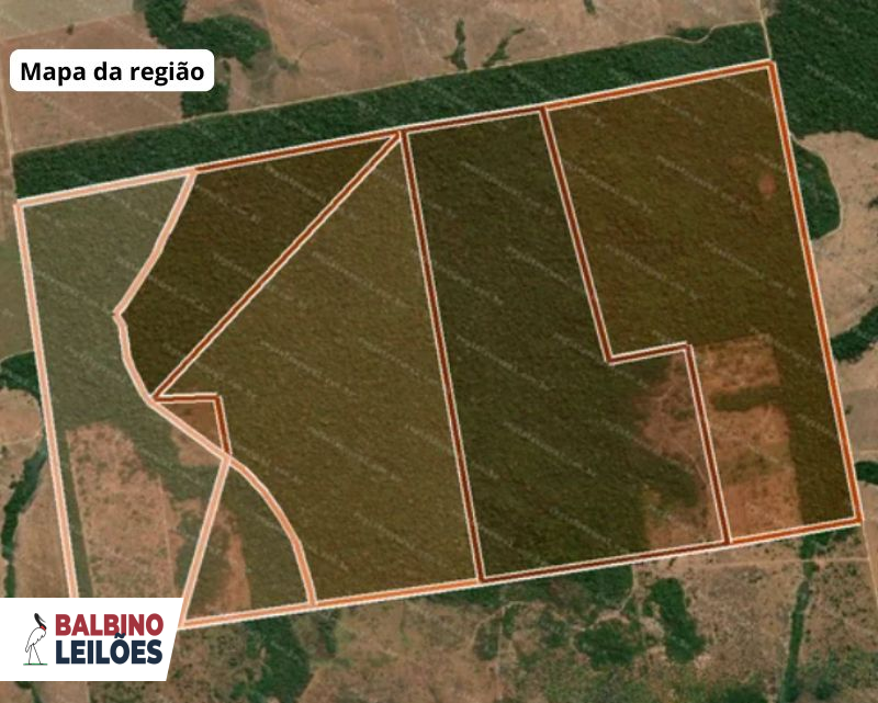 Imóvel rural em leilão em Apiacás