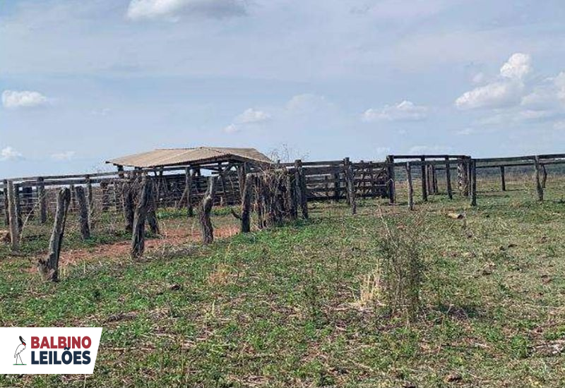 Imóvel rural em leilão em Guiratinga