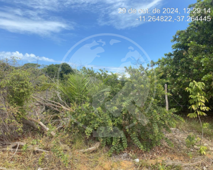 Terreno em leilão em Itaporanga D'ajuda
