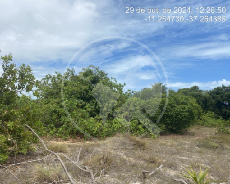 Terreno em leilão em Itaporanga D'ajuda