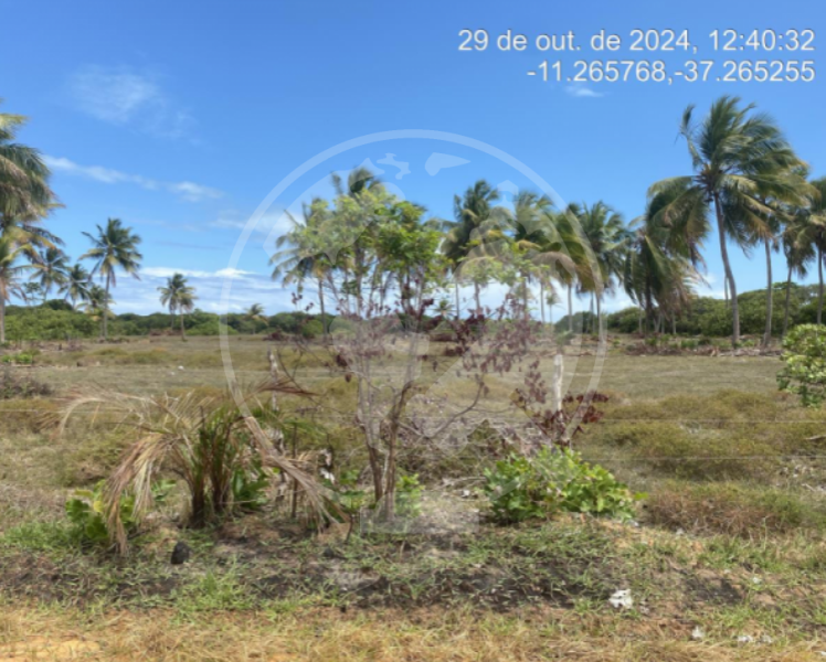 Terreno em leilão em Itaporanga D'ajuda