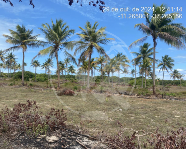 Terreno em leilão em Itaporanga D'ajuda