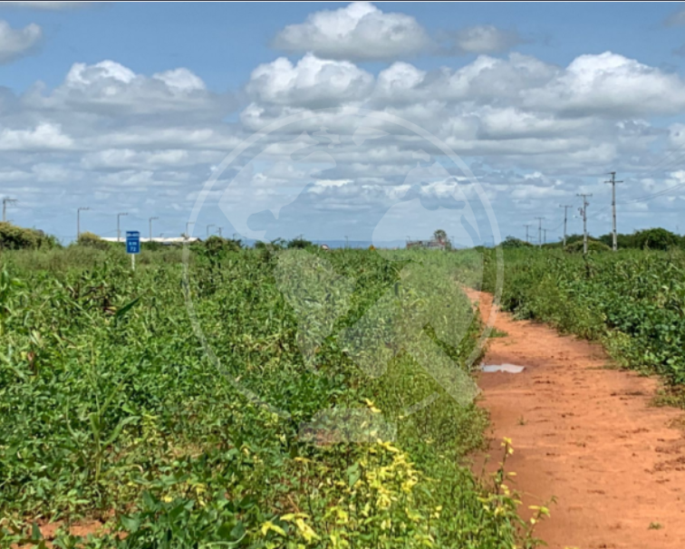 Terreno em leilão em Apodi